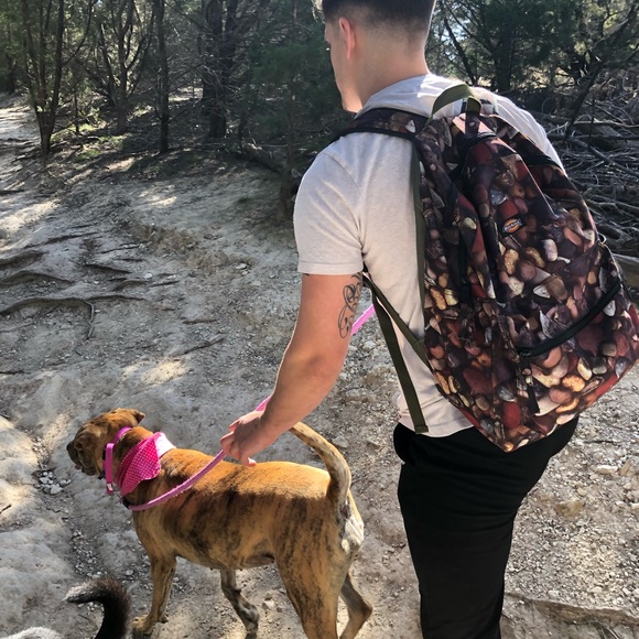 Meet your Posher, Jeremy - Picture 1 of 1